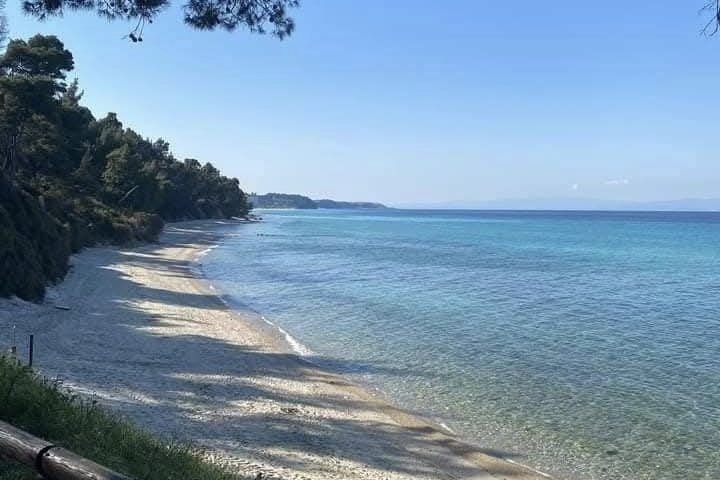 Skrivena plaža u Kalitei na Halkidikiju sa borovom šumom i kristalno čistim morem