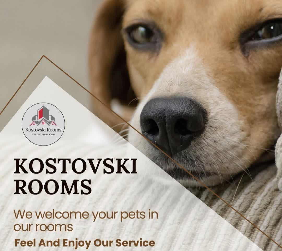 Kostovski Rooms Veles pet friendly smeštaj za putnike sa kućnim ljubimcima